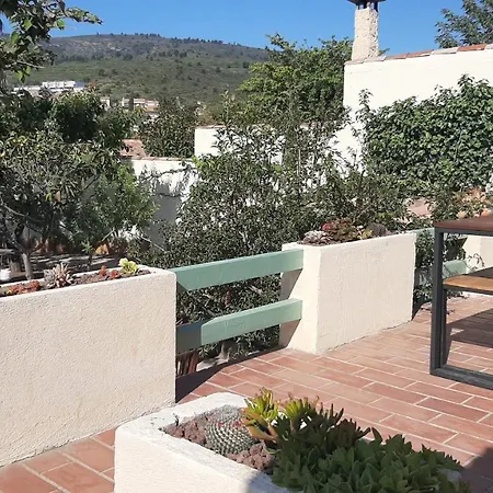 Magnifique Avec Jardin Arbore *